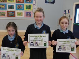 Eco Classes of the term